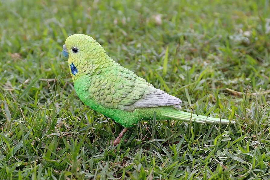 セキセイインコ　a⑥ お客様専用約1／2サイズセキセイインコ | TinyBooBoo